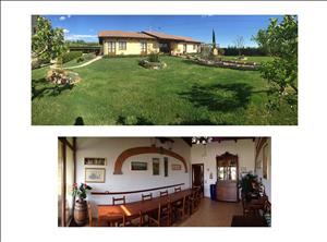 latest property