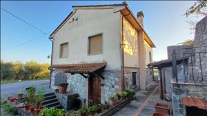 latest property