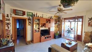 latest property