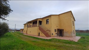 latest property