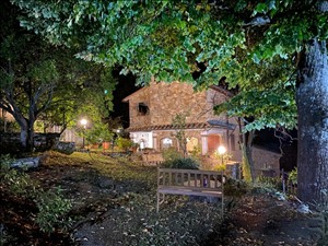 latest property