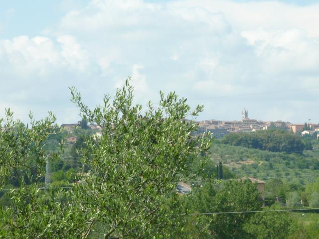 Villa singola Siena VL143