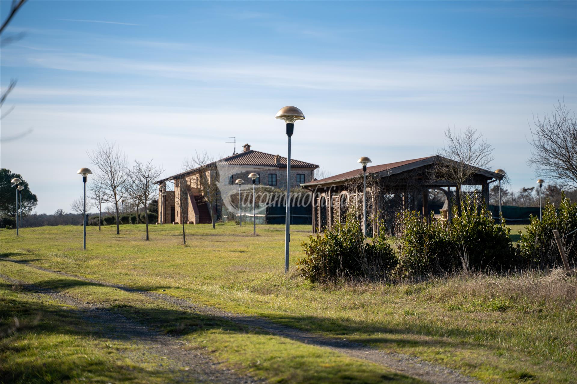 Vendita Azienda Agricola in Castiglione del Lago
