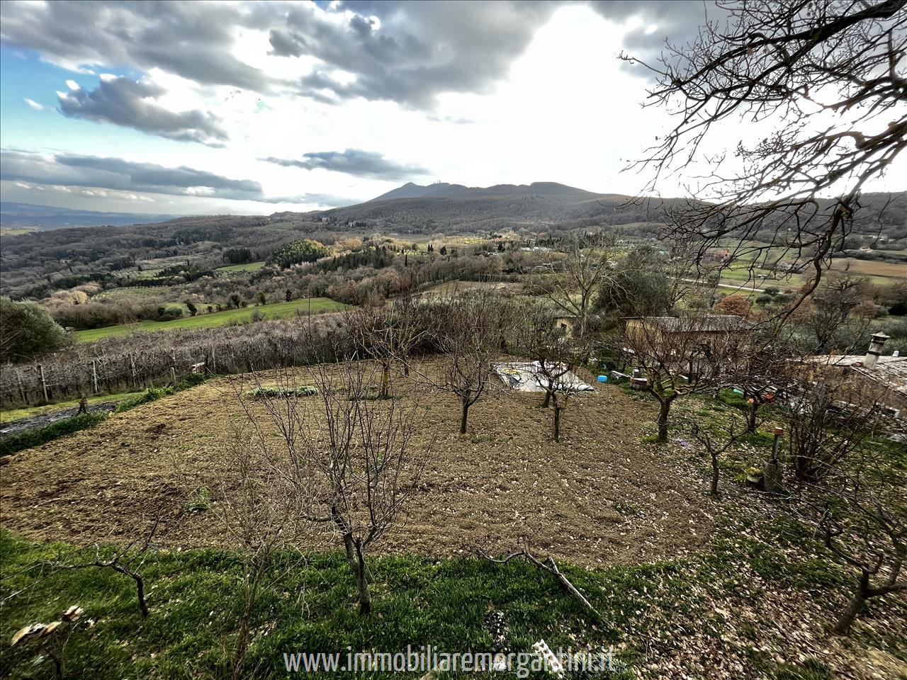 Terreno agricolo in vendita a Sarteano (SI)