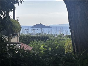 latest property